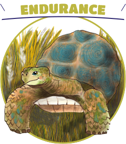 endurance